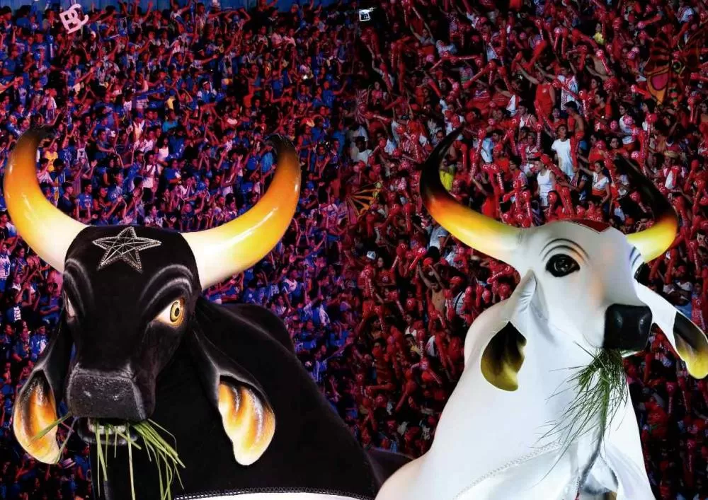  Confira a ordem de apresentação de Caprichoso e Garantido é definida para as três noites do Festival de Parintins 2024