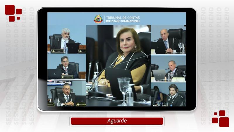 45ª Sessão Ordinária do Tribunal Pleno - 45ª Sessão Virtual