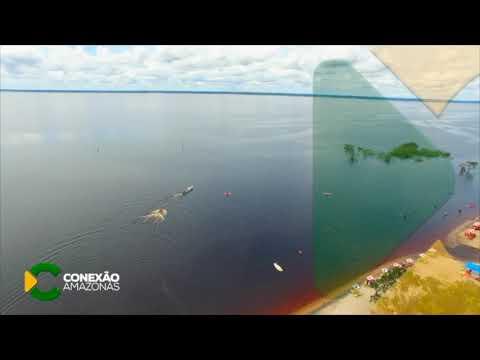 Conexão